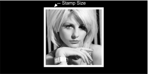 Stamp-4040-Lg.jpg
